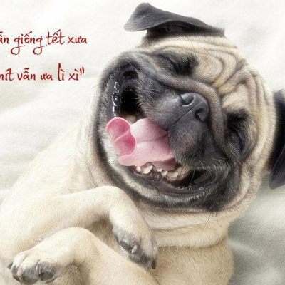 Điện máy chính hãng giá gốc