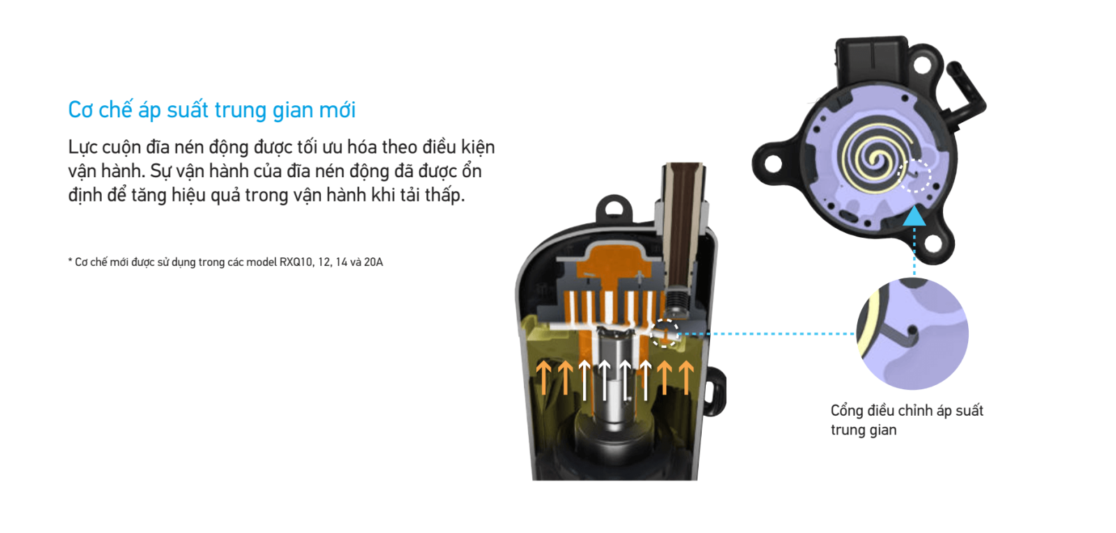 Cơ chế kiểm soát áp suất ngược
